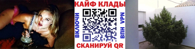 Магазин наркотиков Адыгейск ОМГ ОМГ зеркало  Меф  АМФ  МАРИХУАНА  APVP  COCAIN 