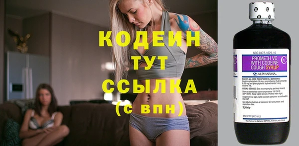 гидра Переславль-Залесский