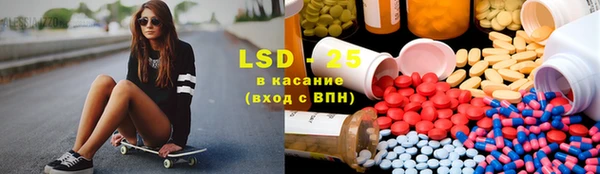 прущие грибы Покачи