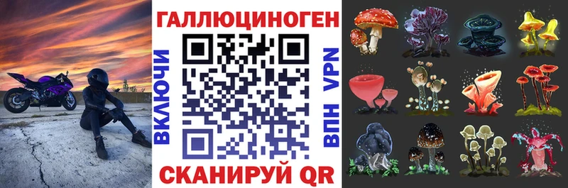 Псилоцибиновые грибы Cubensis  наркотики  Адыгейск 
